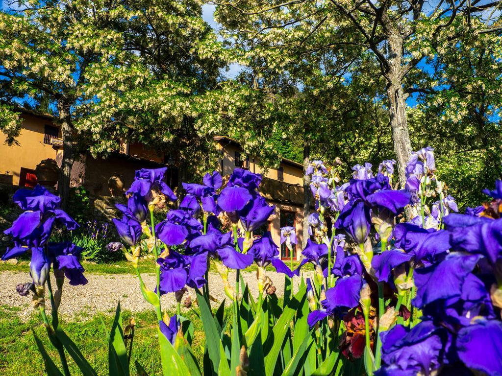 Agriturismo Verde Oliva Villa Bagno a Ripoli Екстериор снимка